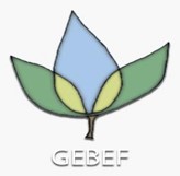 Grupo de Estudios Biofísicos y Ecofisiológicos (GEBEF)